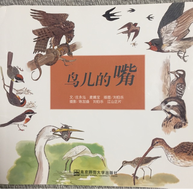 鳥(niǎo)兒的嘴