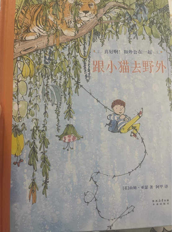 跟小貓去野外