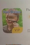 five senses