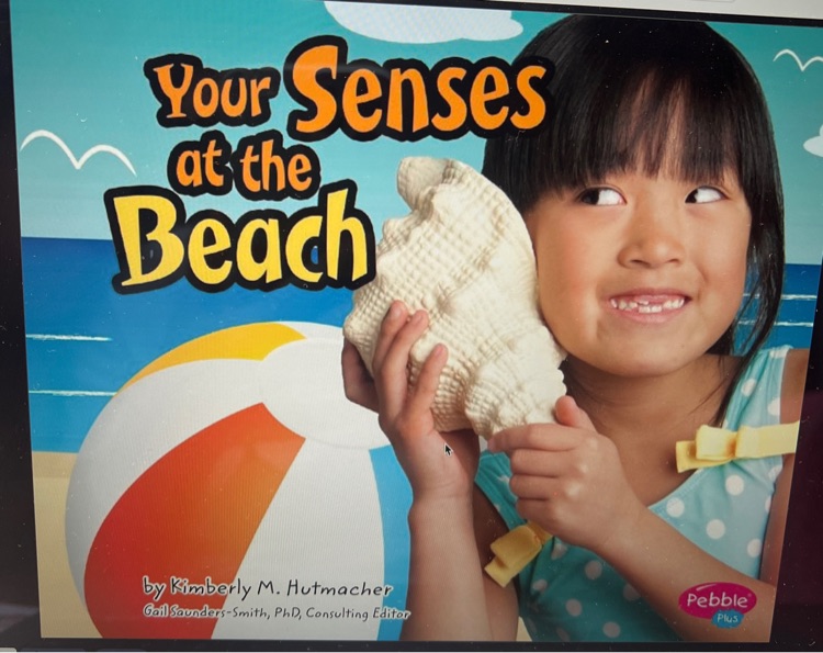 your senses at the beach