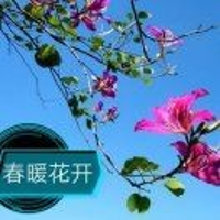 葉子5423018691