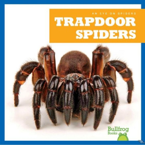 Trapdoor Spiders