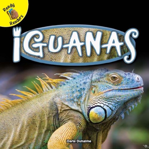 Iguanas