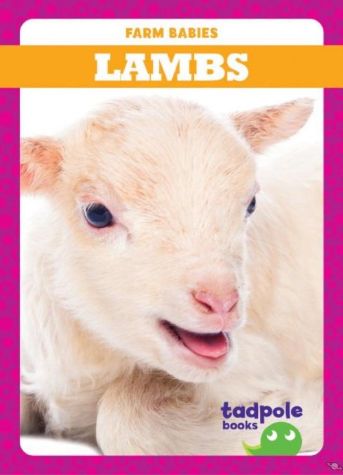 Lambs