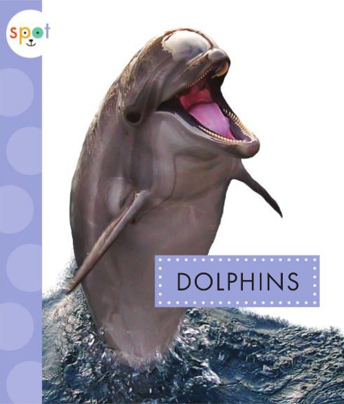 Dolphins