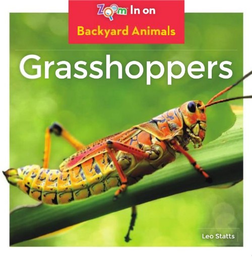 Grasshoppers