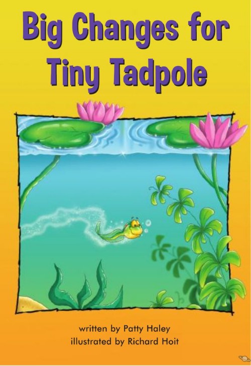 Big Changes for Tiny Tadpole