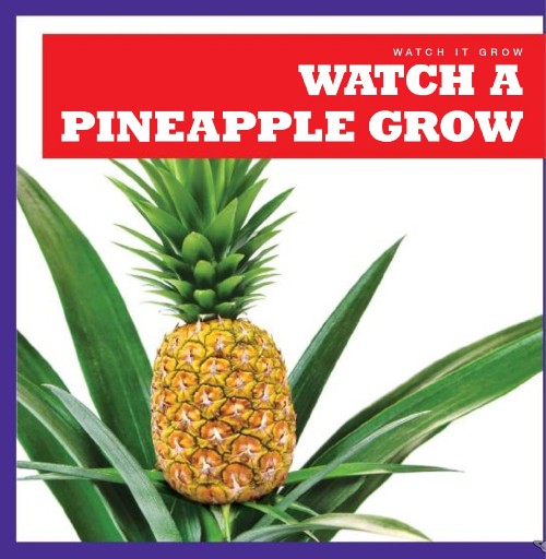 Watch a Pineapple Grow