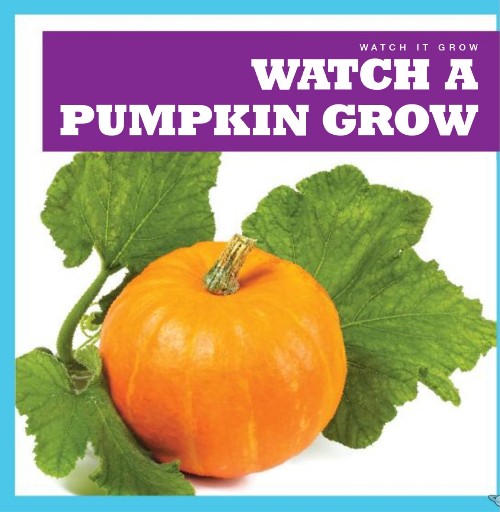 Watch a Pumpkin Grow