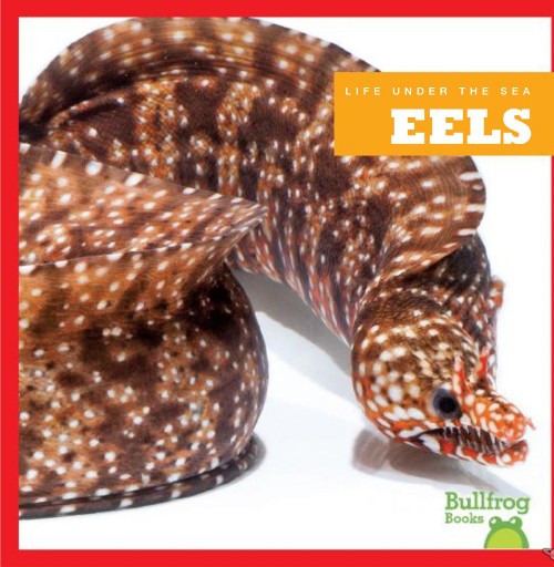 Eels