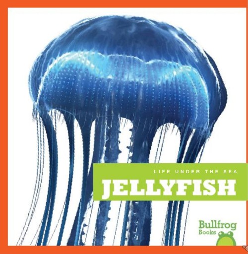 Jellyfish