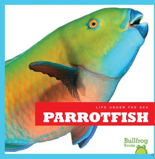 Parrotfish