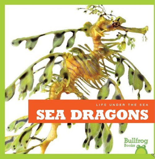 Sea Dragons