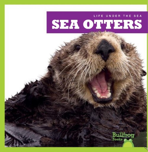 Sea Otters