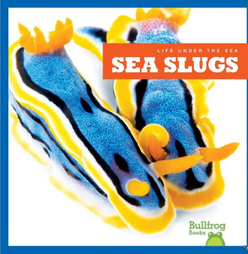 Sea Slugs