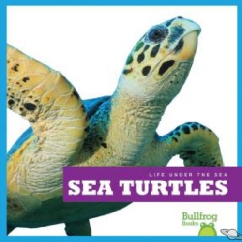 Sea Turtles