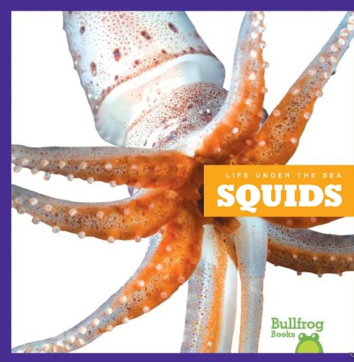 Squids