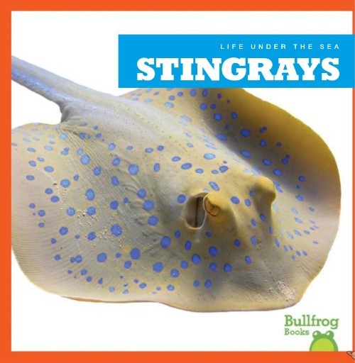 Stingrays