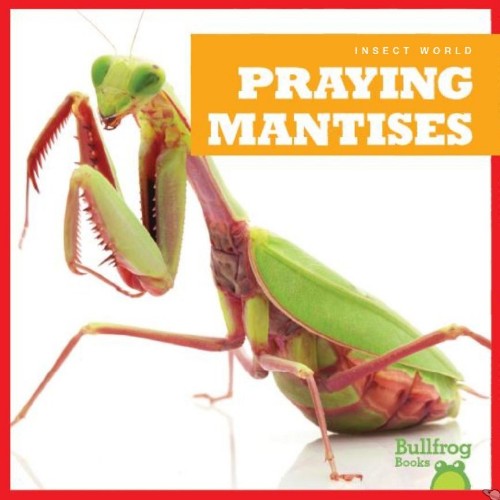 Praying Mantises