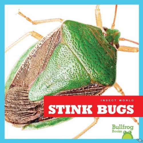 Stink Bugs