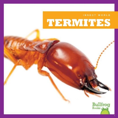 Termites