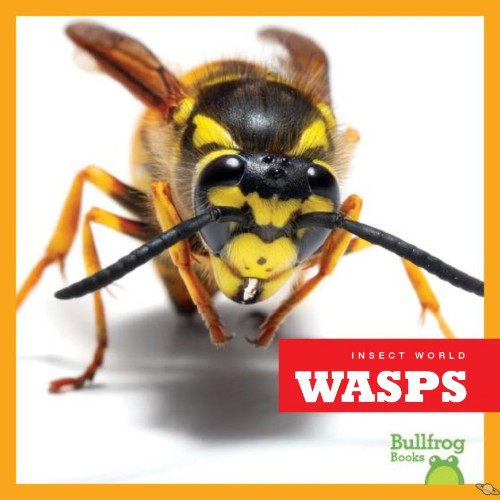 Wasps