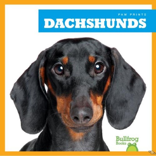 Dachshunds