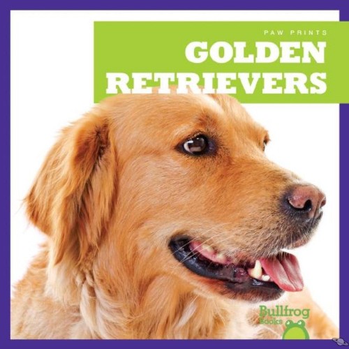 Golden Retrievers