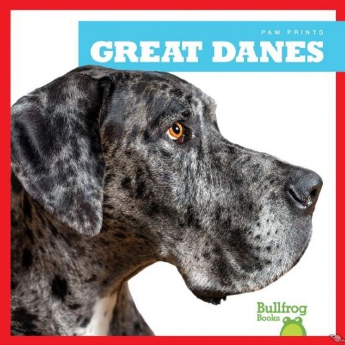 Great Danes