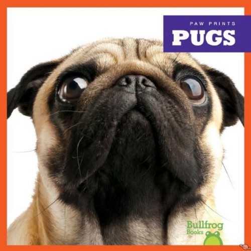 Pugs