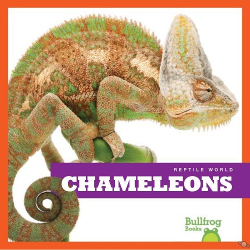 Chameleons