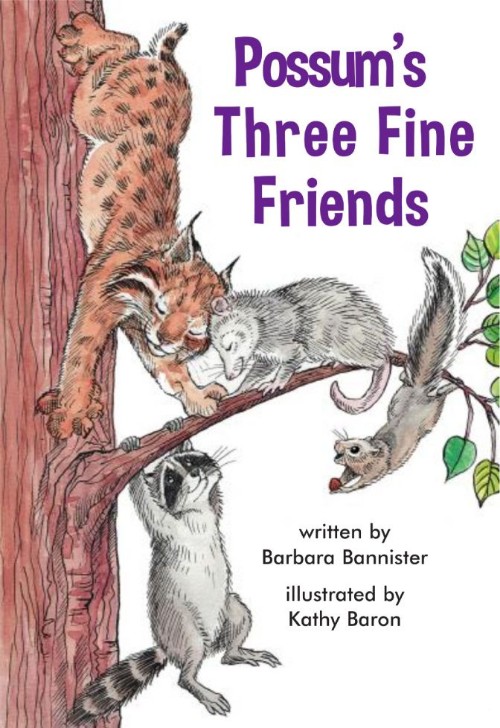 Possum's Three Fine Friends