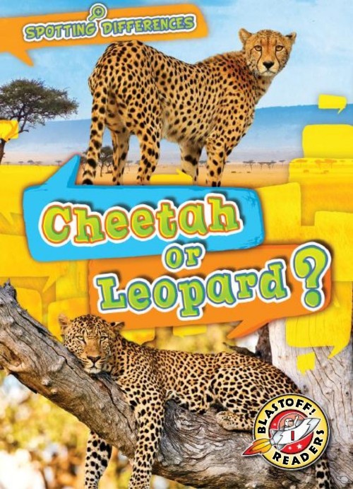 Cheetah or Leopard