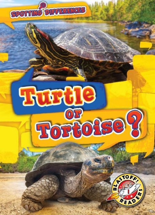 Turtle or Tortoise