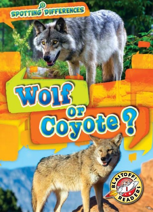 Wolf or Coyote