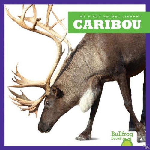 Caribou