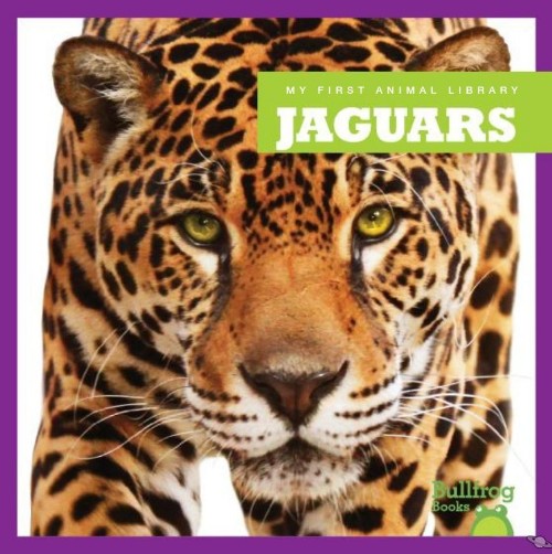 Jaguars