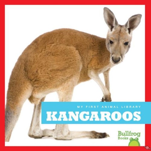 Kangaroos