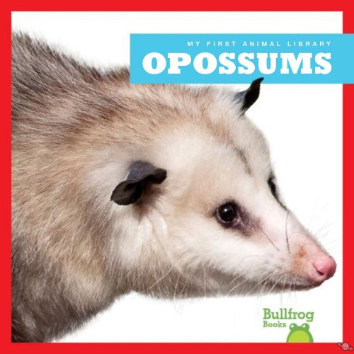 Opossums