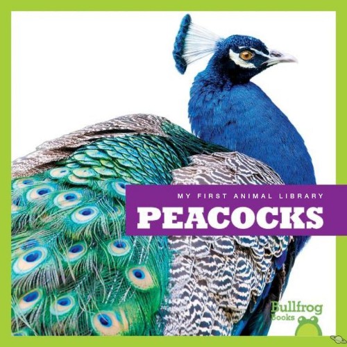 Peacocks