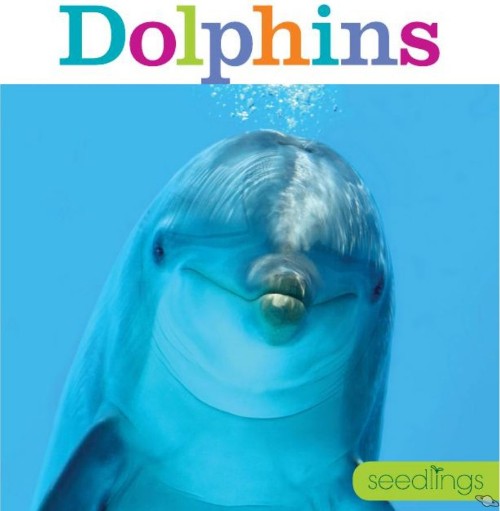 Dophins