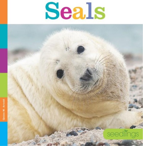 Seals