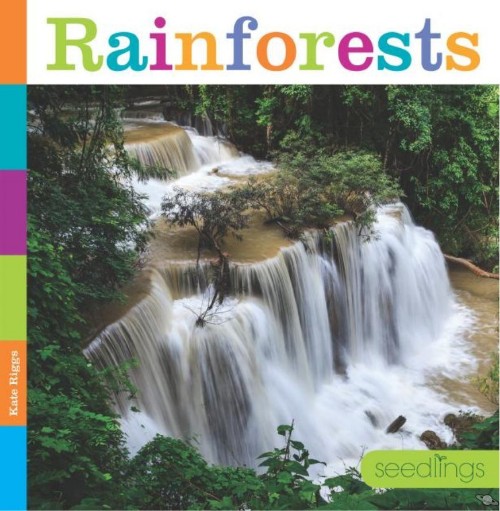 Rainforests