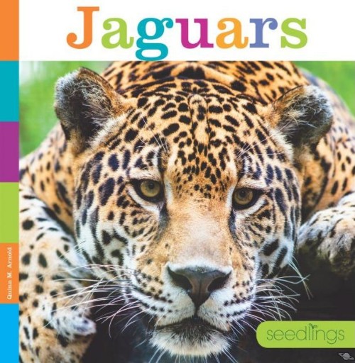 Jaguars