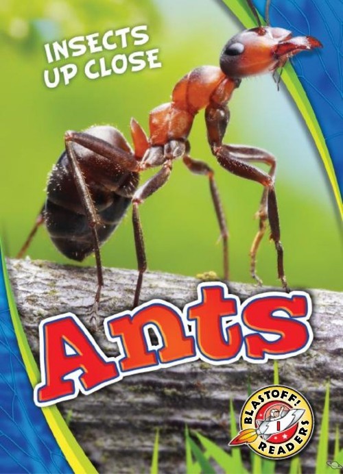 Ants