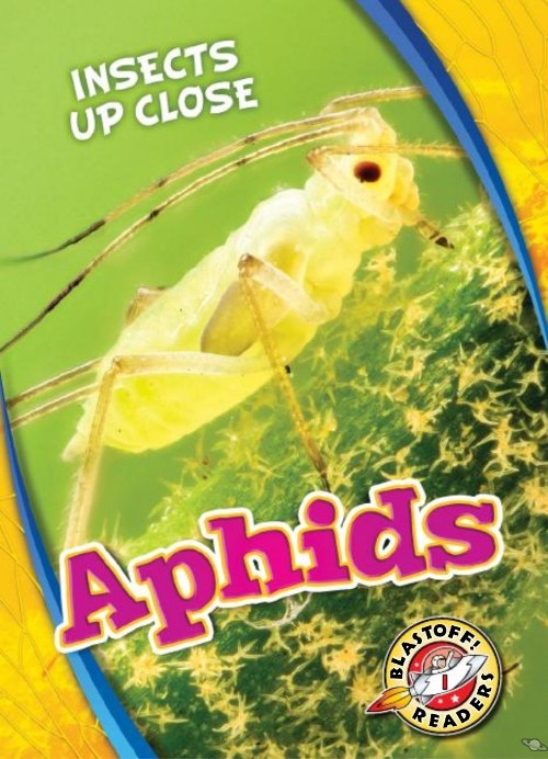 Aphids