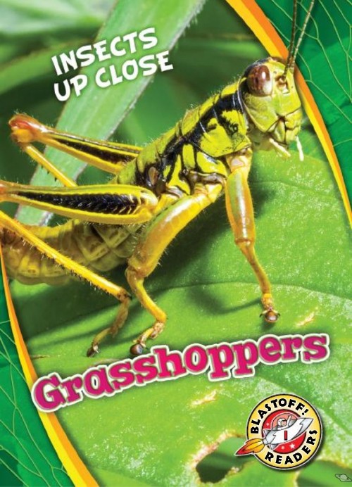 Grasshoppers