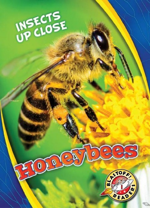 Honeybees