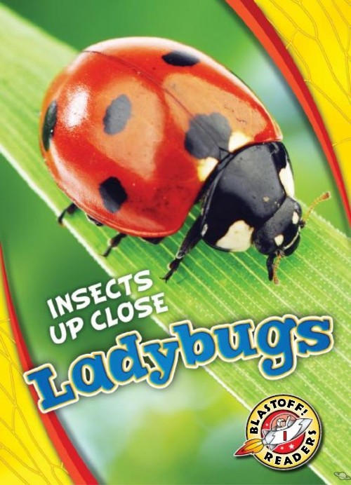 Ladybugs