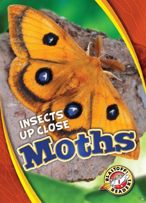 Moths